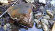 Viidume aka levaatus 2014, kraav allikasoos | Galerii Lubjasete kividel, Viidume 