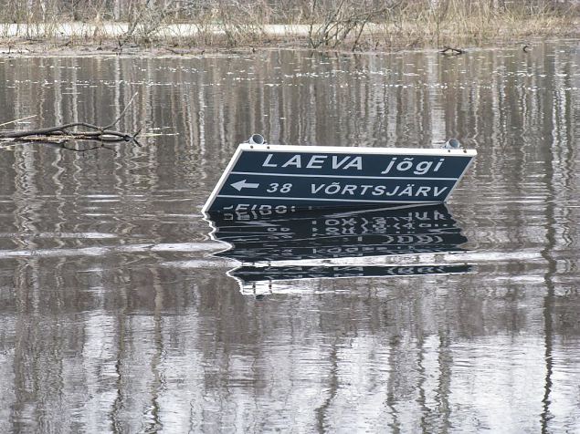 The flooded rivermouth of the Laeva river, spring 2009 