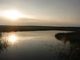 Grouse at Palupõhja | Alam-Pedja Oxbow lake, Emajõgi 