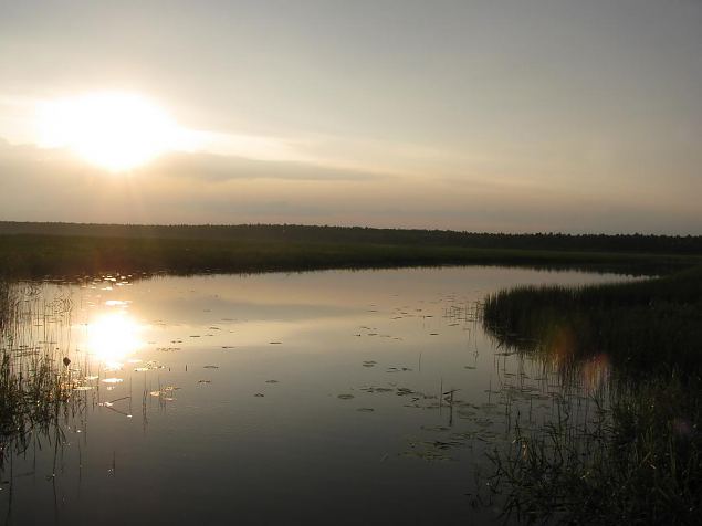 Oxbow lake, Emajõgi 