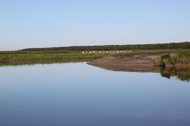 Maintained meadow and tha re-opened oxbow lake, Kärevere 