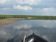 Flooded meadow, Emajõgi, Palupõhja | Alam-Pedja First spring after re-opening, Pudru oxbow lake. 