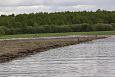 Beaver house, Emajõgi | Alam-Pedja The sediment placement eraes are very usefull for the birds 