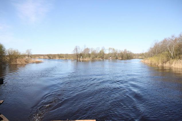 Emajõgi river and Pedja river 