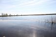 First spring after re-opening, Pudru oxbow lake. | Alam-Pedja Flood at Kupu oxbow lake 