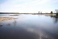 Re-opened Samblasaare oxbow lake, sediment placement area at.. | Alam-Pedja First spring after th