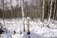 Winter at Kärevere, Emajõgi | Alam-Pedja A cube of salt for animals, Teilma 