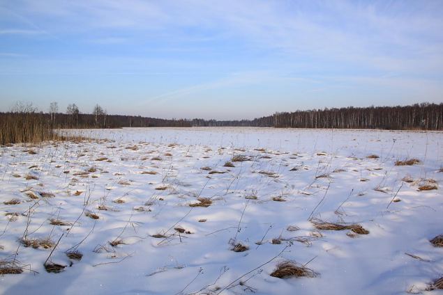 Project site, winter 2013 