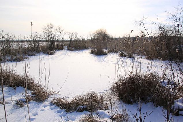 Project site, winter 2013 