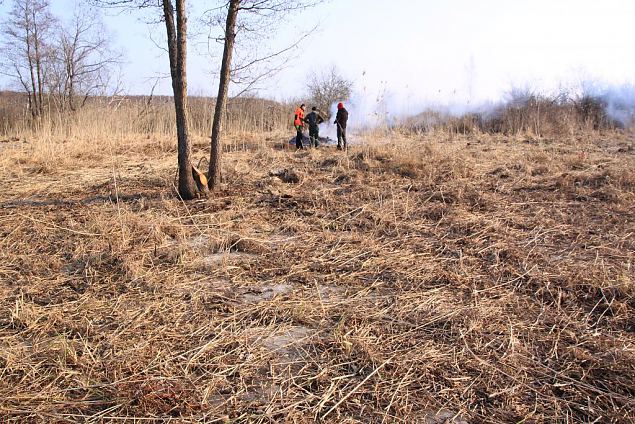 Project site, winter 2013, cleaning the meadow 