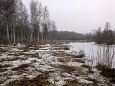 Project site, footmark of the wolf, spring 2014 | Gallery restored floodplain at Laeva river, Febr