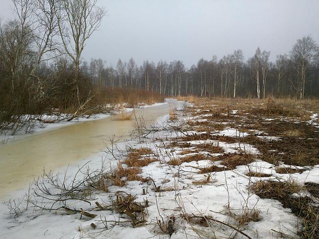 Re-opered riverbank, river Laeva, February 2015 