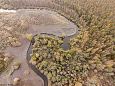 Misgurnus fossilis | Gallery Laeva river, Aiu floodplain, after restoring 