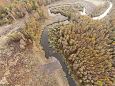 Bullhead (Cottus gobio), autumn 2014 | Gallery Laeva river, Aiu floodplain, after restoration 