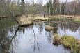 Spring and the brook, Kiigumõisa | Gallery River Jägala (left and spring lake (rght), Kiigumõisa 