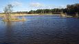 Ditch between the meliorated land (left) and edge of the spr.. | Gallery Lake Prästvike, October 2