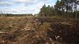 Tufa sediments on stones and plants, Viidumäe | Gallery Closed ditch, restored springfen, October 