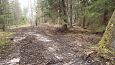 Ditch between the meliorated land (left) and edge of the spr.. | Gallery Closed ditch, Viidumäe, O