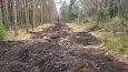Ditch between the meliorated land (left) and edge of the spr.. | Gallery Closed ditch, Viidumäe, O