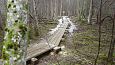 Petrifying spring and restored trail, Viidumäe, October 2016 | Gallery Vormsi, Allika nature trail