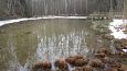 Allikas Prästviki järve kirdenurgas metsas, aprill 2014 | Galerii Vormsi, Suurallikas, veebruar 20