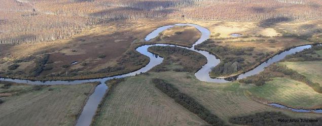 The oxbow lakes of River Emajõgi