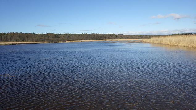 10 hectars of lake Prästvike re-opened