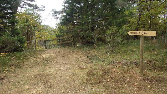 Occupancy permit of Viidumäe trail issued