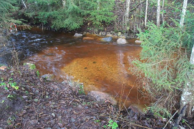 Rajatud koelmud omaks vetud