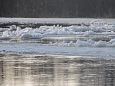 The road to Paluphja is flooded every spring | Alam-Pedja Spring at Pedja river mouth 