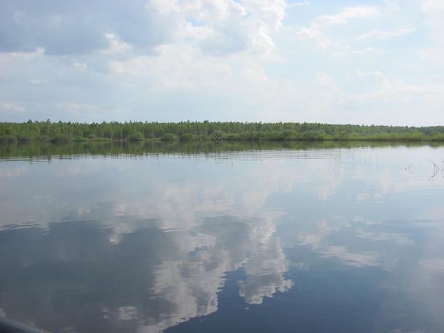 Flooded meadow, Reku 