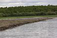 Flooded meadow, Reku | Alam-Pedja The sediment placement eraes are very usefull for the birds 