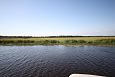 Spawning of the bream, Samblasaare oxbow lake | Alam-Pedja Maintained floodplain, Samblasaare 