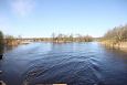 Spawning of the bream, Samblasaare oxbow lake | Alam-Pedja Emajgi river and Pedja river 