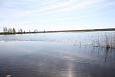 Spring at Pedja river mouth | Alam-Pedja Flood at Kupu oxbow lake 