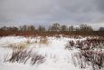 First spring after re-opening, Pudru oxbow lake. | Alam-Pedja Vegetation at floodplain, Ilmatsal