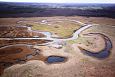 Sediment placement area, second summer after re-opening | Alam-Pedja Emajgi river and oxbow lak