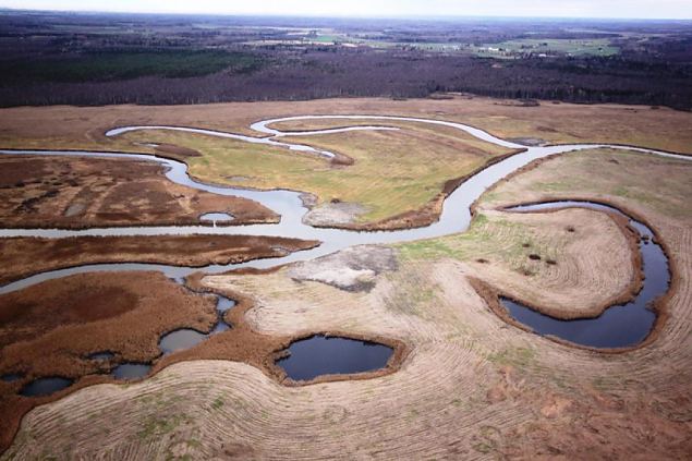 Emajgi river and oxbow lakes 