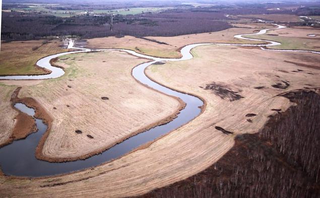 Emajgi river and oxbow lakes 