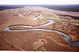 Spawning of the bream, Samblasaare oxbow lake | Alam-Pedja Emajgi river and oxbow lakes 