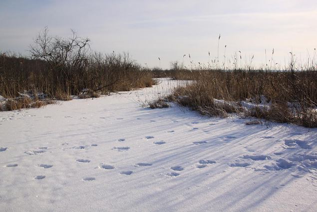 Project site, winter 2013 