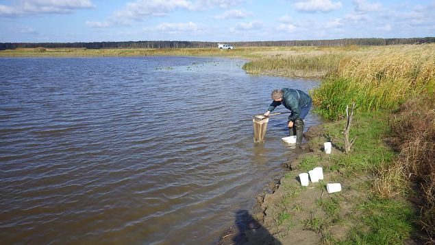 Monitoring of the invertebrates, 2014 