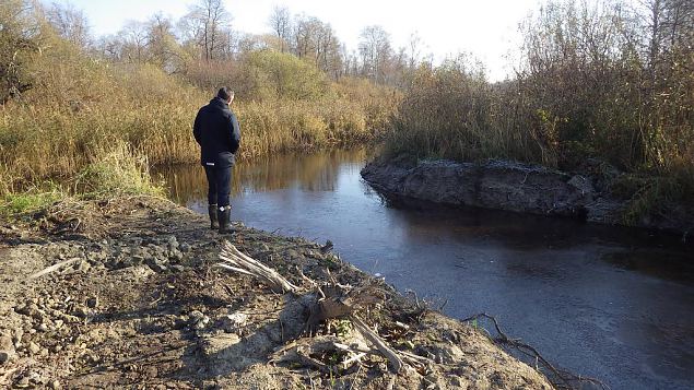 Re-opened river mouth, Laeva river, 2016 