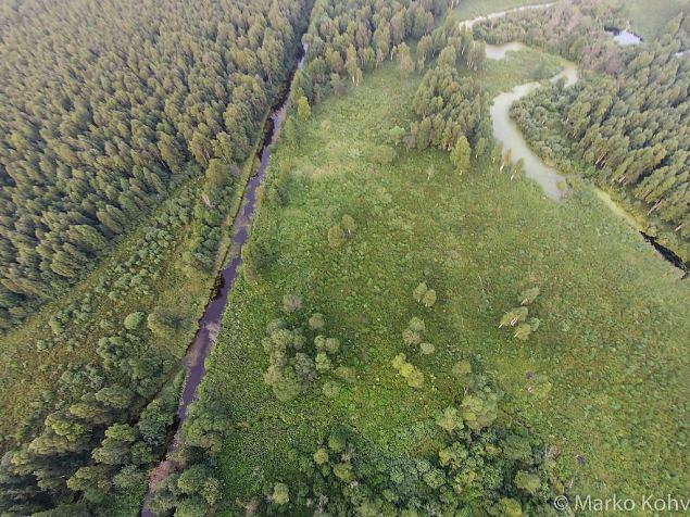 Laeva river, Aiu floodplain, before restoring 