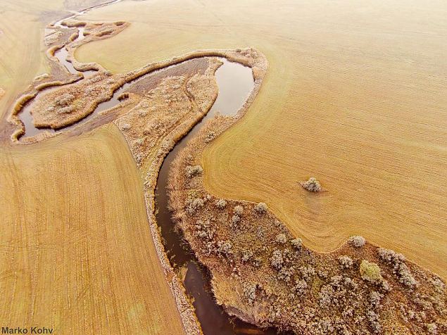 Laeva river, Aiu floodplain, after restoration 