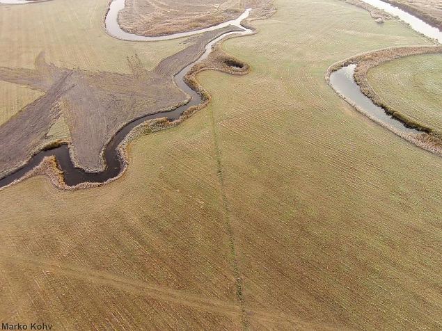 Laeva river, Aiu floodplain, after restoration 