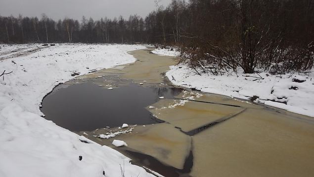 Laeva river, levi floodplain, after restoration 