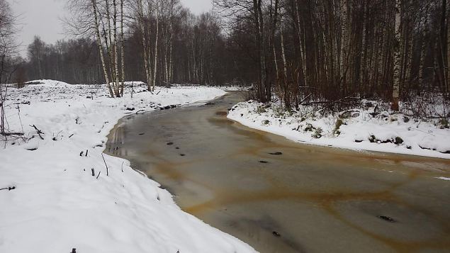 Laeva river, levi floodplain, after restoration 