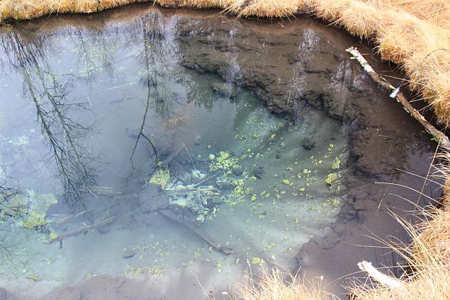 Bigest of the Kiigumisa springs 