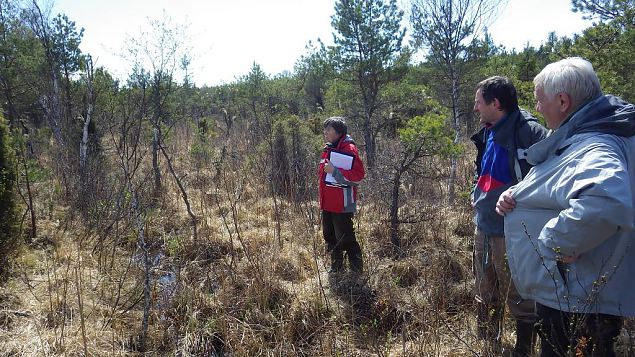 Expert Mari Reitalu,monitoring of the springfen, Viidume 